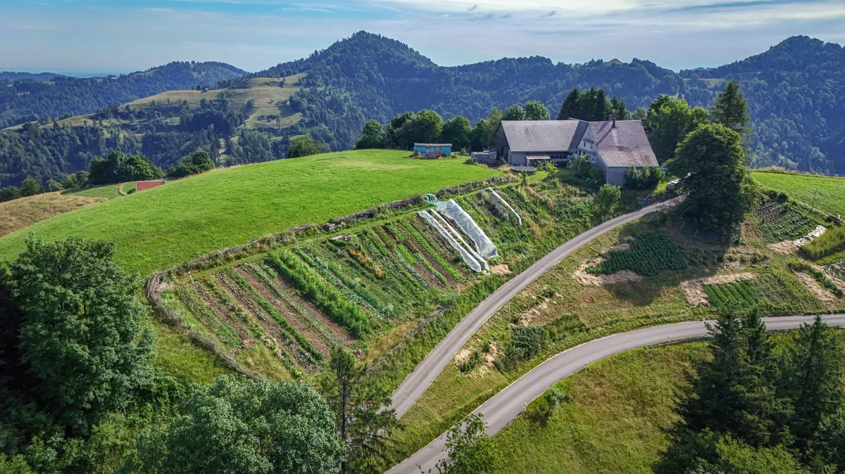 Drei Frauen bewirtschaften gemeinsam unter dem Projektnamen «summmit» den auf 1050 m ü. M. gelegenen Garten des Hofs Ragenbuech und verkaufen ihr Gemüse, wir stellen das Projekt vor.